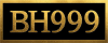 logo BH999 COM